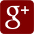 Google Plus Page