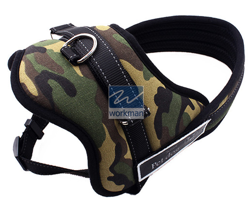 Dog Harness